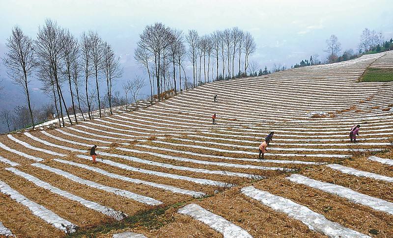 优发国际·随优而动一触即发